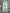 NYX GREEN STRAIGHT