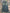 NITRO GREEN WIDE