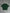 DEYLE GREEN TEE