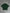 DEYLE GREEN TEE