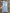 TAL BLUE BOOTCUT