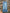 BIXBY BLUE  BOOTCUT