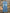 BIXBY BLUE  BOOTCUT