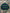 BLOD STRIPID GREEN FULL SLEEVE