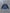 RAGLAN STRIPED DARK BLUE
