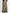 TROPIC CAMO CARGO