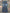 NOT ASH BOOTCUT
