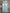 MARK LIGHT BLUE STRAIGHT FIT